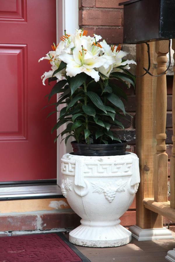 Ambiance By The Falls B&B Niagara Falls Exterior foto